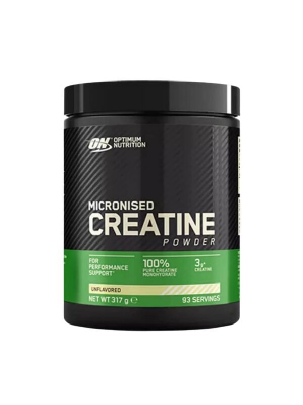 MICRONIZED CREATINE 317G