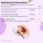 WeightWorld Liposomal NAD+ & Trans-Resvératrol 575mg — 90 Gélules | 3 Mois – Image 5