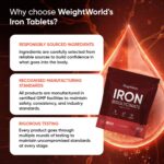 WeightWorld - Iron Bisglycinate 28mg - 400 Comprimés | Vegan & Non-GMO – Image 5