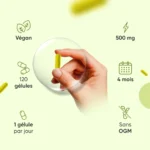 WeightWorld Berbérine 500mg — 120 Gélules | 4 Mois | Vegan | Made in EU – Image 4